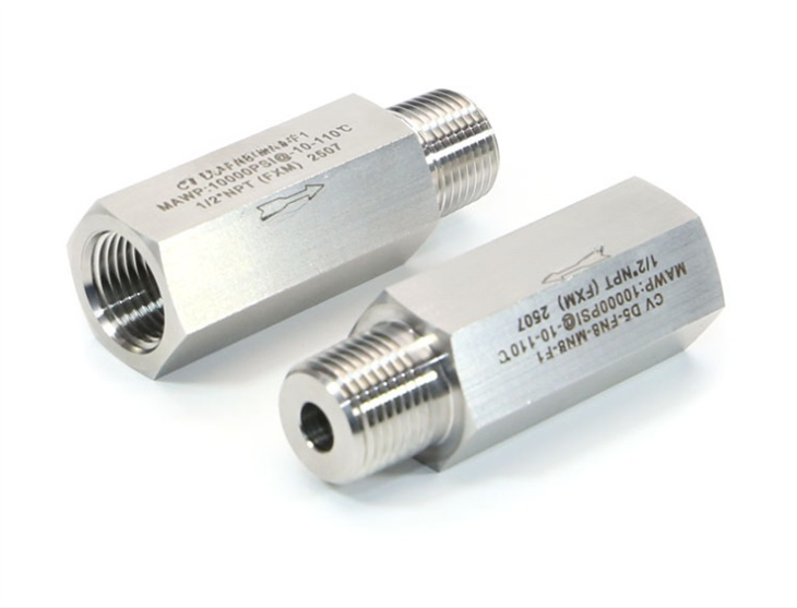 10000psi High Pressure Stainless Steel One Way Check Valve