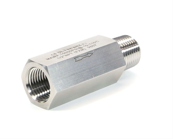 10000psi High Pressure Stainless Steel One Way Check Valve