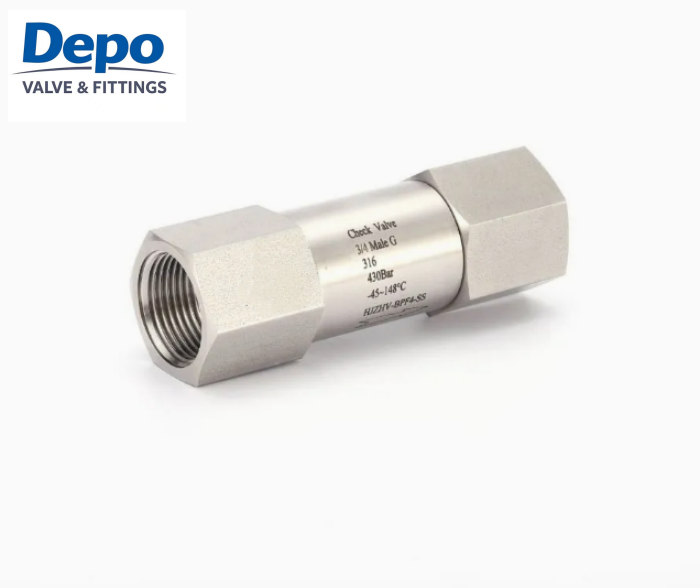 Vàlvula de retenció unidireccional d'acer inoxidable d'alta pressió